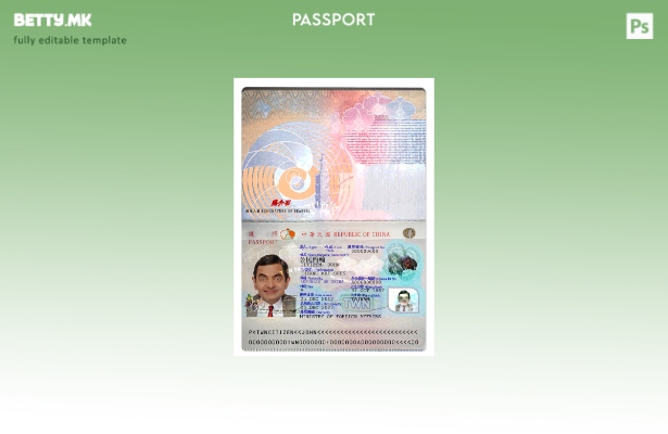 Модерен стил сегашен шаблон Taiwan Pass